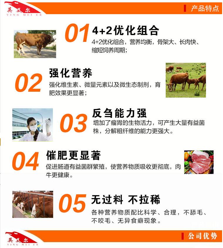 2、一頭奶牛一年應(yīng)該準(zhǔn)備多少飼料？喂食時如何混合飼料？ 