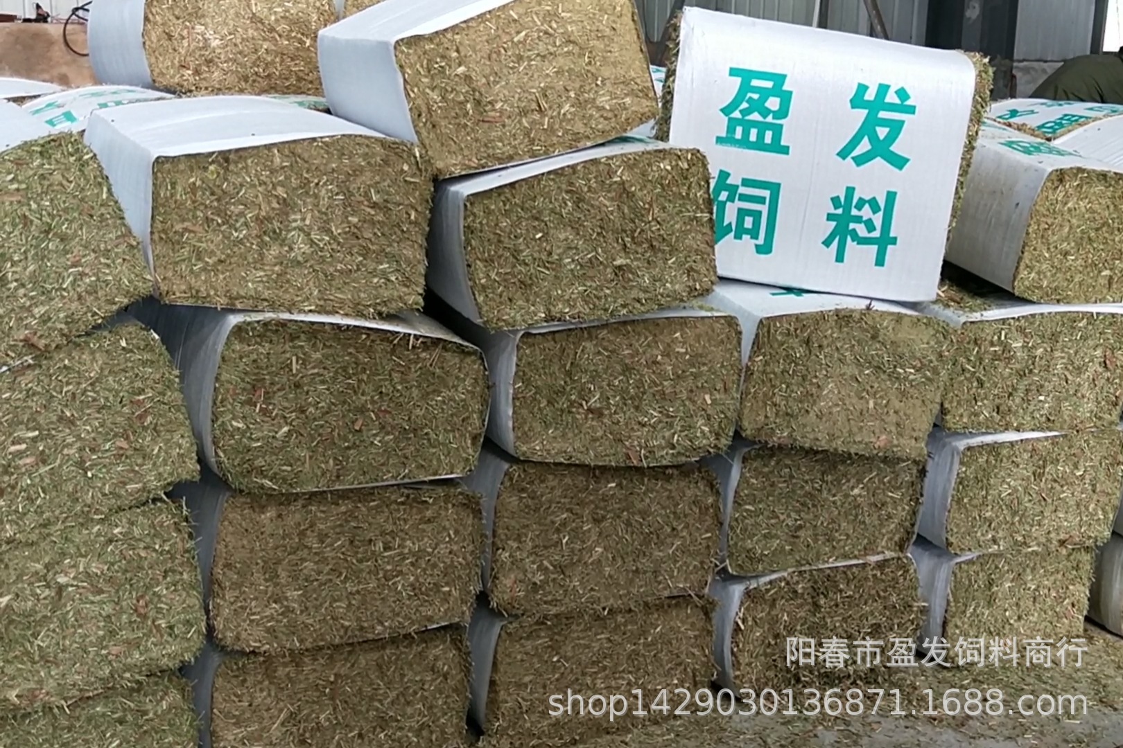 2、全國牛飼料銷售排名