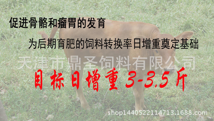 2、育肥牛每天需要多少飼料/肉牛每天吃多少飼料