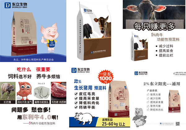 肉牛催肥預混料飼料生產(chǎn)廠家 肉牛催肥預混料飼料生產(chǎn)廠家